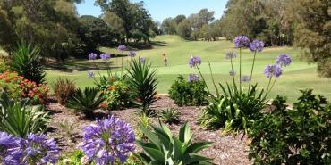 Redcliffe Golf Club Redcliffe Golf Club