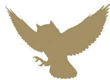 Owl Nest Golf Course  Logo