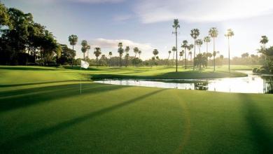 Sanctuary Cove (The Palms Course) Sanctuary Cove (The Palms Course)