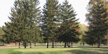 South Grove Golf Course South Grove Golf Course
