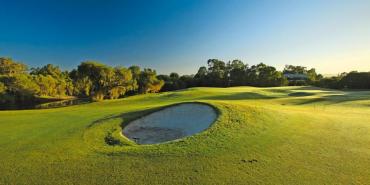 The Vines Resort & Country Club The Vines Resort & Country Club