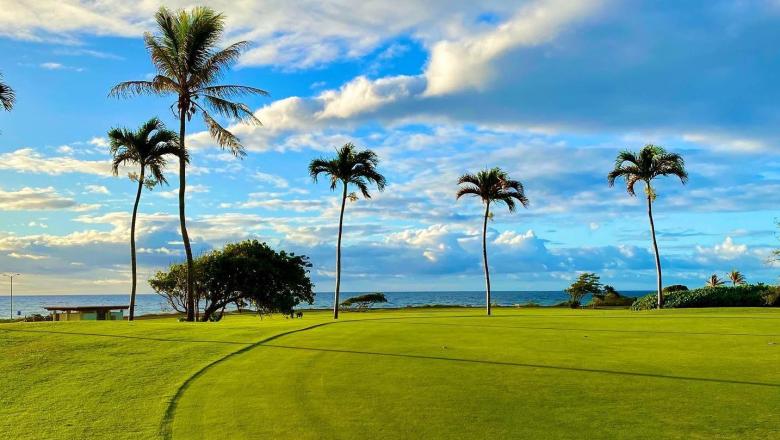 Olomana Golf Links ⛳️ Book Golf Online • golfscape™ Olomana Golf Links ⛳️ Book Golf Online • golfscape™