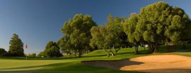 Alto Golf Alto Golf