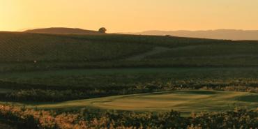 Chardonnay Golf Club Chardonnay Golf Club