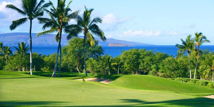 希少！90sヴィンテージ Imperial Wailea Golf Course 希少！90sヴィンテージ Imperial Wailea Golf Course - メルカリ