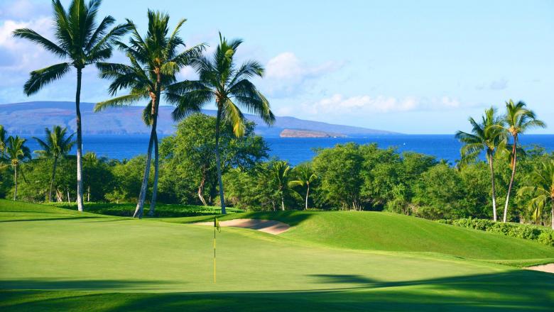 Wailea Golf Club (Emerald Course) ⛳️ Book Golf Online • golfscape™ Wailea Golf Club (Emerald Course) ⛳️ Book Golf Online • golfscape™