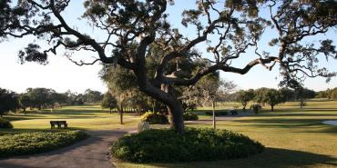 Dunedin Golf Club Dunedin Golf Club