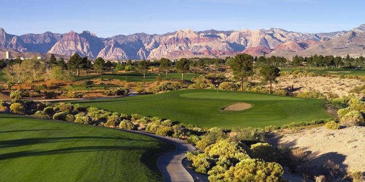 Pine Valley Golf Club-世界的に有名なアメリカのゴルフ場　本 Pine Valley Golf Club: A Chronicle: Shelly, Warner