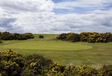 Dating Firth Moray