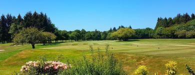 Downfield Golf Club Downfield Golf Club