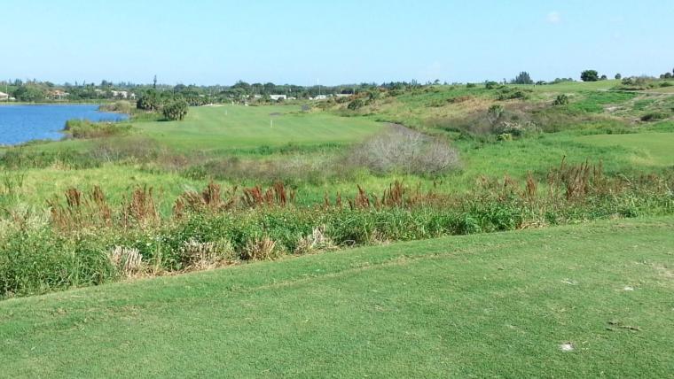 Park Ridge Golf Course in Palm Beach Florida United States golfscape Park Ridge Golf Course in Palm Beach Florida United States golfscape